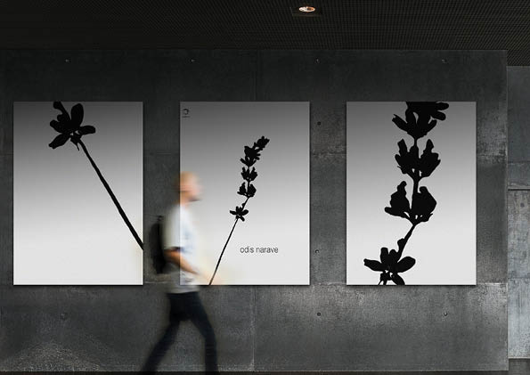Chaiarna poster
